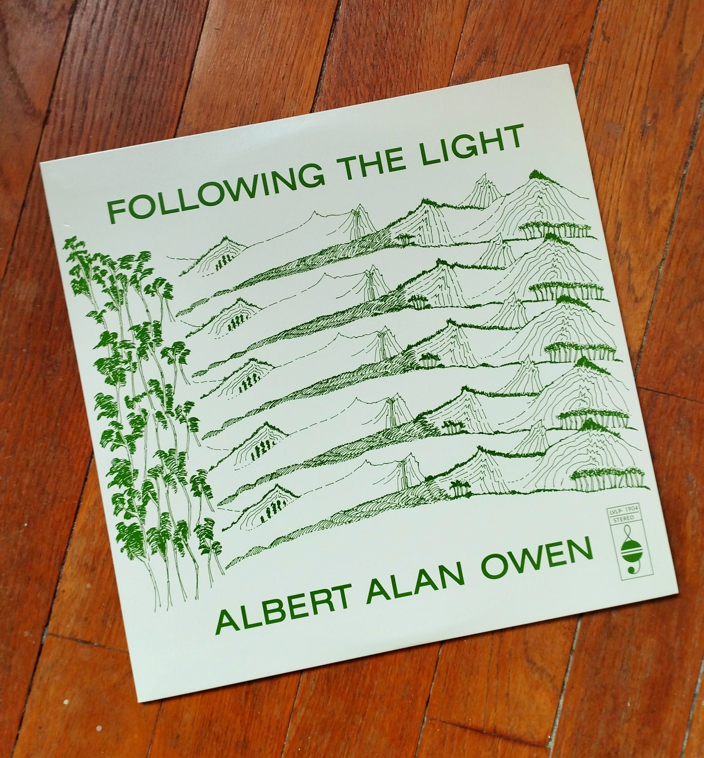 Albert Alan Owen - Following The Light LP